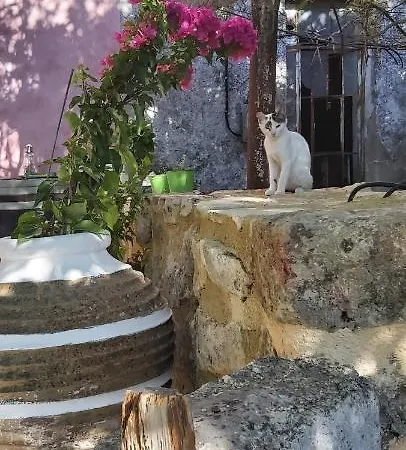 Vryses Crete-Village Vibes Exterior photo