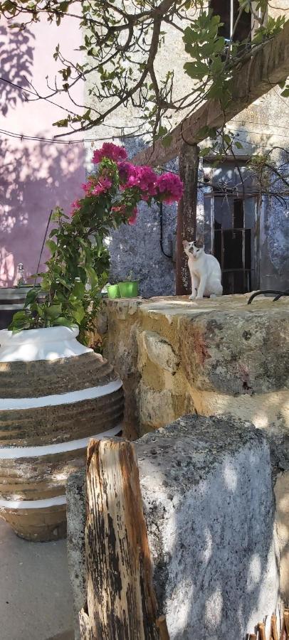 Crete-village Vibes Apartment
