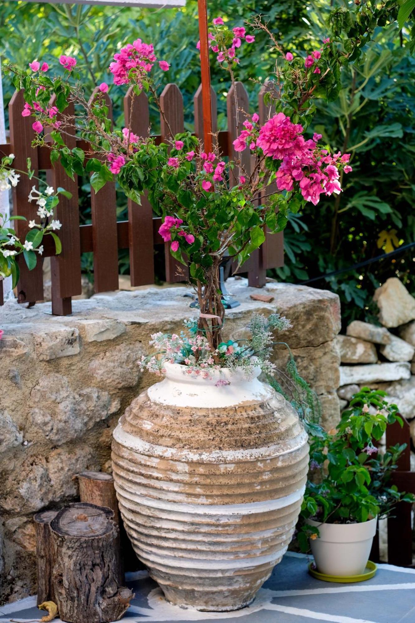 Apartment Crete-village Vibes